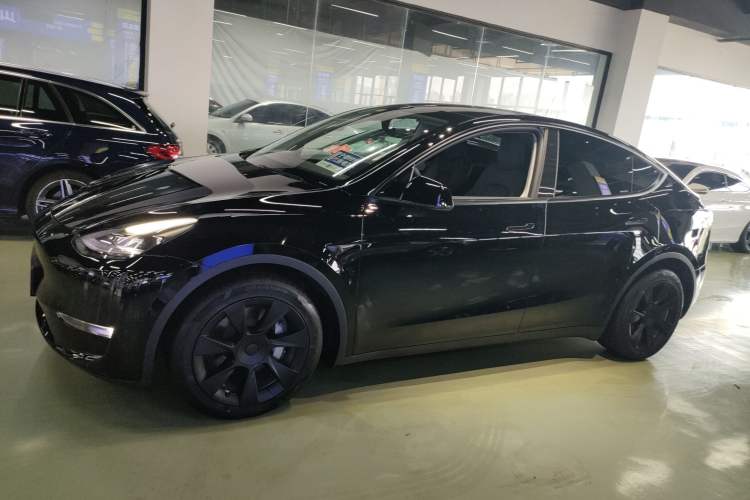 Used Tesla Model Y 2021 Standard Range Rear-Wheel Drive Version
