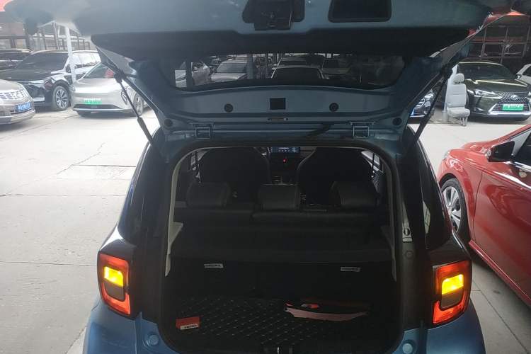 Used SOL E10X 2022 Flower Fairy Design Four-Leaf Clover
