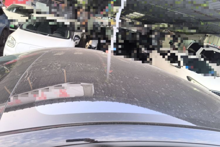 Used Tesla Model Y 2025 Updated Version Long-Range All-Wheel Drive
