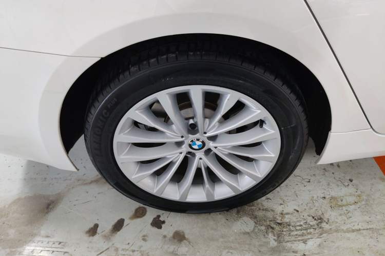 Used BMW 5 Series 2019 525Li Luxury Package