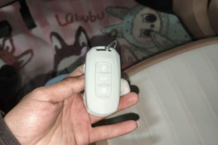 Used  Panda 2024 200km Panda Kart
