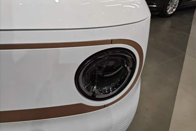 Used  Panda 2024 Panda Mini 200km Endurance Bear