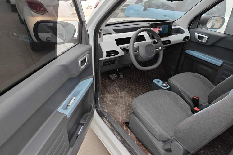 Used  Panda 2024 Panda Mini 200km Endurance Bear