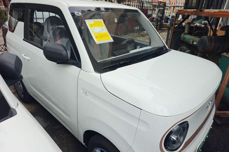 Used  Panda 2024 Panda Mini 200km Endurance Bear
