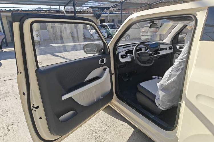 Used  Panda 2025 210 km – Yuanqi Bear
