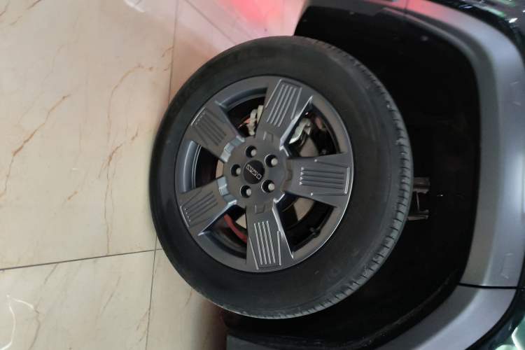 Used  03 2024 501km Two-Wheel Drive Long-Range Version
