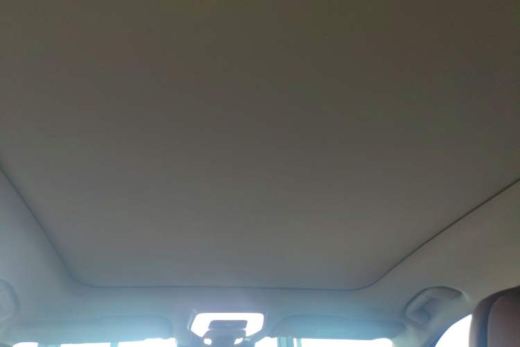 Used Hongqi H9 2020 2.0T Smart Connect Flagship Edition
