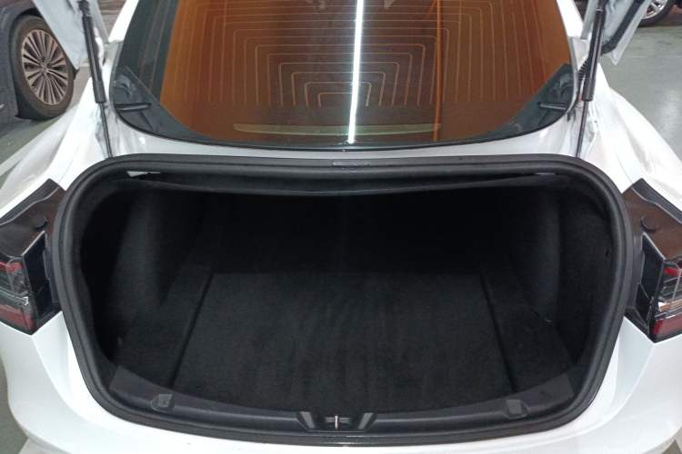 Used Tesla Model 3 (Import) 2019 Standard Range Rear-Wheel Drive Upgraded Version (60 kWh)