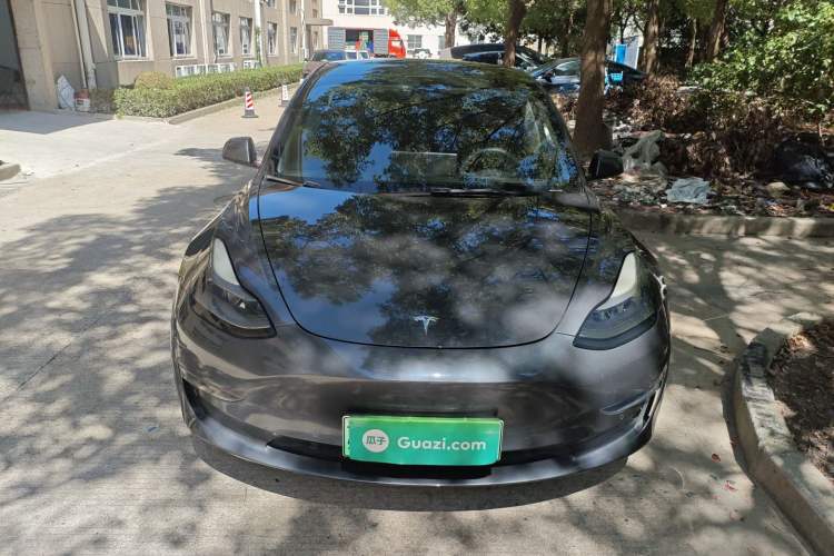 Used Tesla Model 3 2021 Revised Performance Version with All-Wheel Drive 3D1
