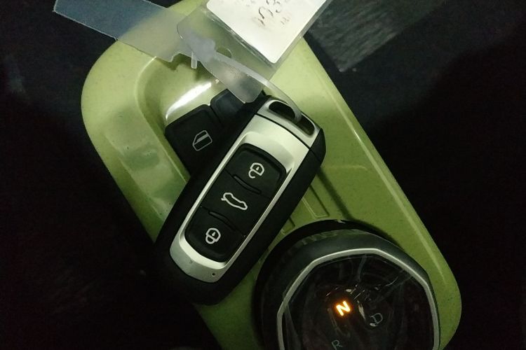 Used  Panda 2025 210 km – Yuanqi Bear
