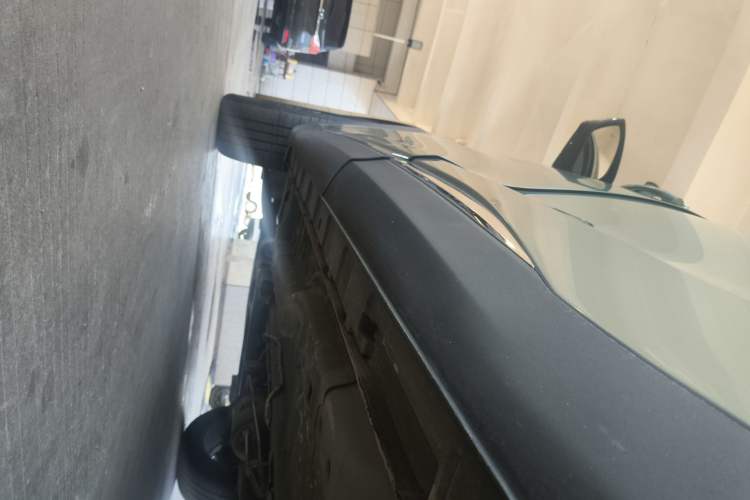 Used  Lingyun 2024 300T Two-Wheel Drive Starlight Edition