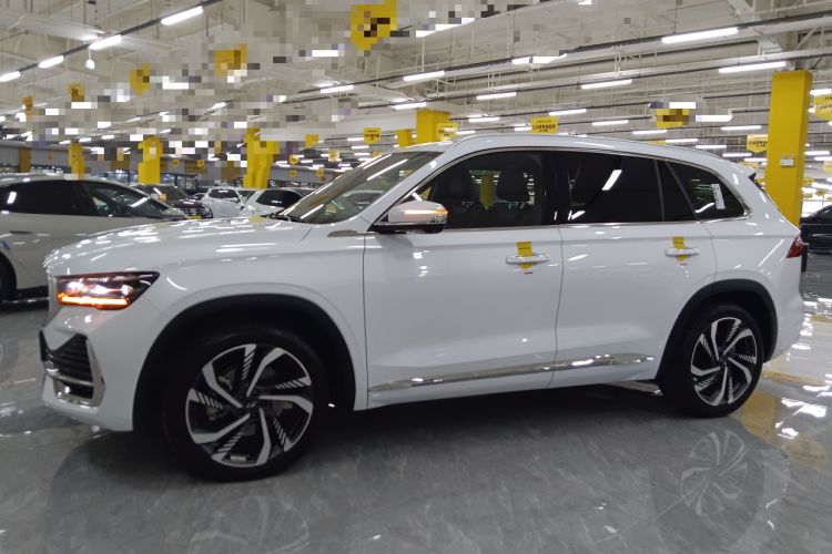 Used Geely Auto Monjaro L 2024 2.0TD High-Power Automatic Two-Wheel Drive Skyline Edition
