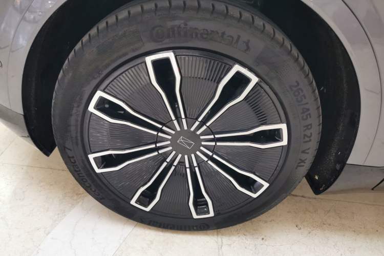 Used  07 2024 Max Extended-Range Edition
