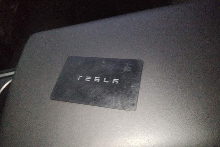 Used Tesla Model Y 2021 Long-Range All-Wheel-Drive Version 3D7