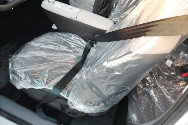 Used  Lumin 2025 205 km Xiangqin Version
