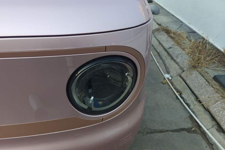 Used  Panda 2024 Panda Mini 200km Endurance Bear
