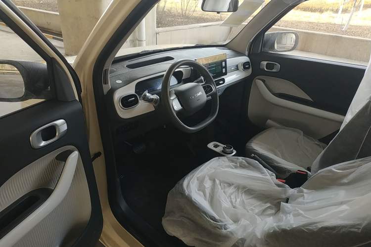 Used  Panda 2025 210 km – Yuanqi Bear