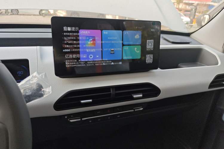 Used  Panda 2024 Panda Mini 200km Endurance Bear
