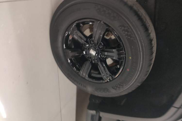 Used Tank 300 2024 2.0T Conqueror
