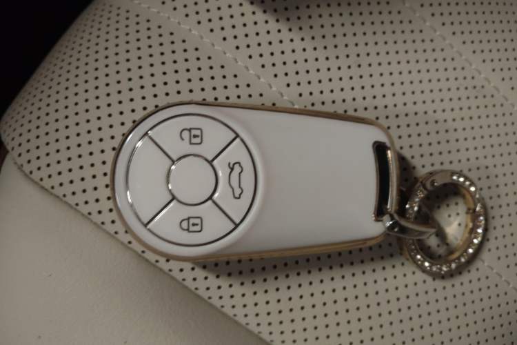 Used ORA Good Cat 2022 Morandi Edition 400km Standard Range Premium Version Lithium Iron Phosphate