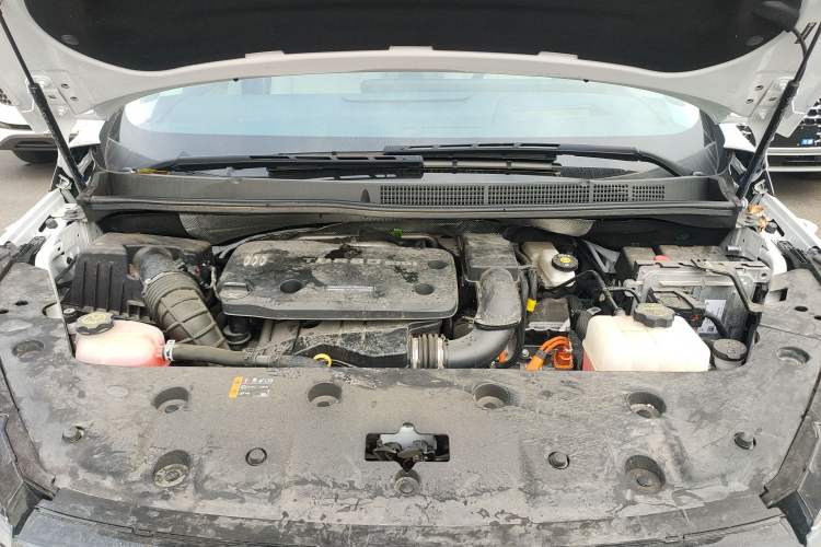 Used Buick GL8 New Energy 2024 Lu Zun Luxury Edition 6-Seater