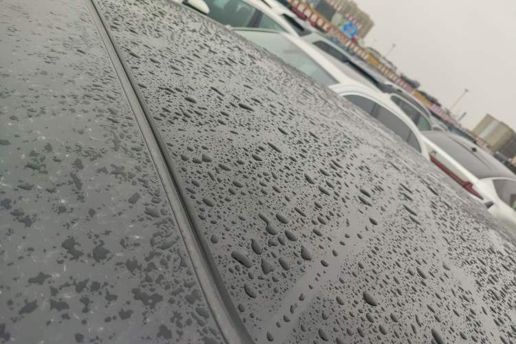 Used Volkswagen Magotan 2019 330TSI DSG Leading Edition China V Standard
