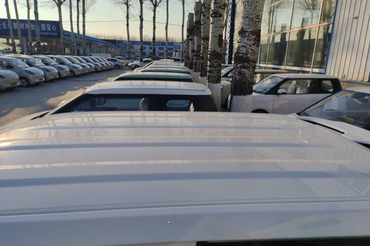 Used  Panda 2025 210 km – Yuanqi Bear
