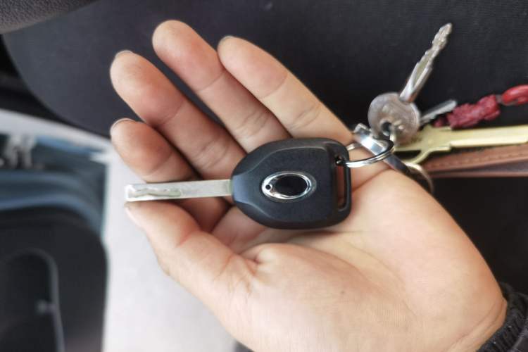 Used ORA Black Cat 2019 351 km Goddess Edition
