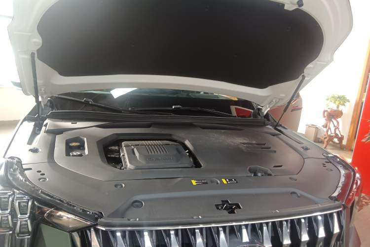 Used GAC Trumpchi GS8 2022 Dual-Engine Series 2.0TM Two-Wheel Drive Prestige Edition (7 Seats)
