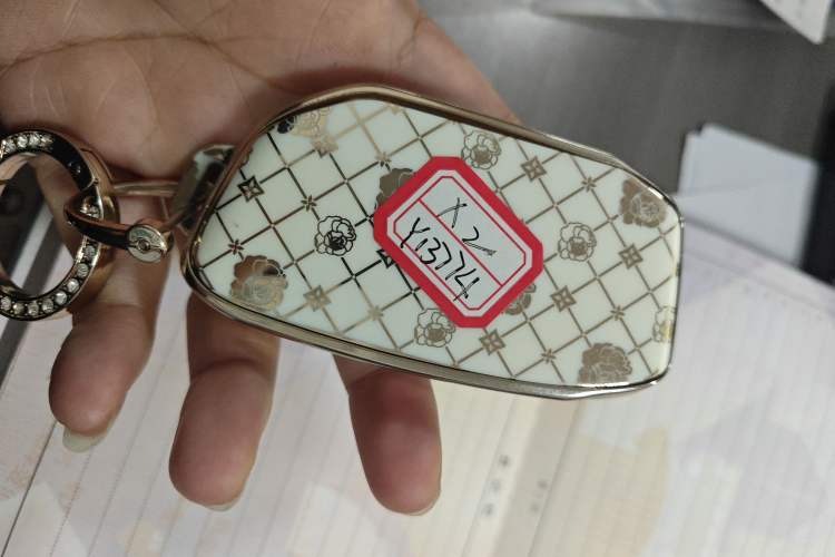 Used BMW X2 (Import) 2024 sDrive25i M Sport Package
