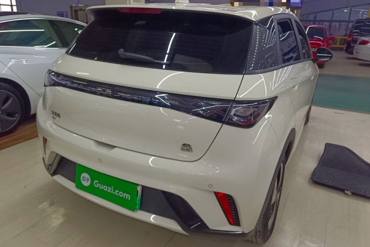 Used BYD Dolphin 2023 420 km Free Version
