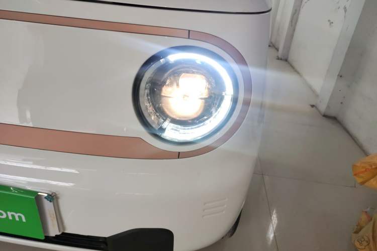 Used  Panda 2025 210 km – Yuanqi Bear