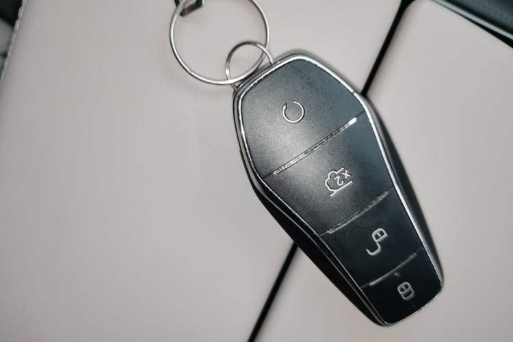 Used BYD Tang New Energy 2024 DM-i Glory Edition 112KM Flagship Model
