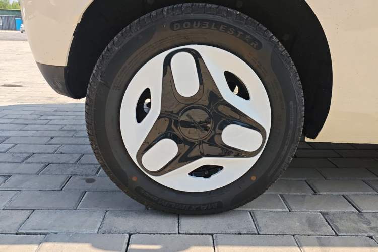 Used  Panda 2025 210 km – Yuanqi Bear
