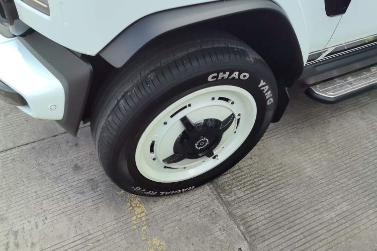 Used  V23 2025 401 Two-Wheel Drive Intelligent Driving Version
