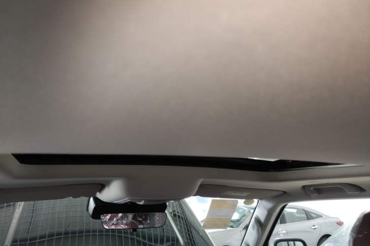 Used Tank 300 2025 2.0T Conqueror
