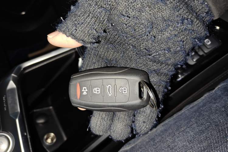 Used Haval H6 2017 Blue Label 2.0T Automatic Two-Wheel Drive Smart Edition
