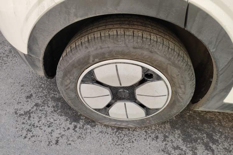 Used  Geome 2025 410 km Free Version