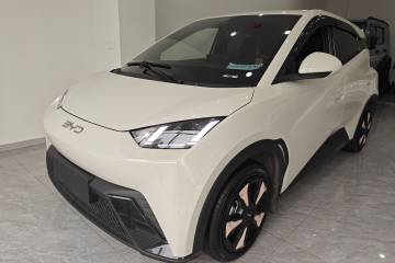 Used BYD Seagull 2024 Honor Edition 305km Freedom Version