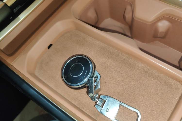 Used NETA X 2023 500 Lite
