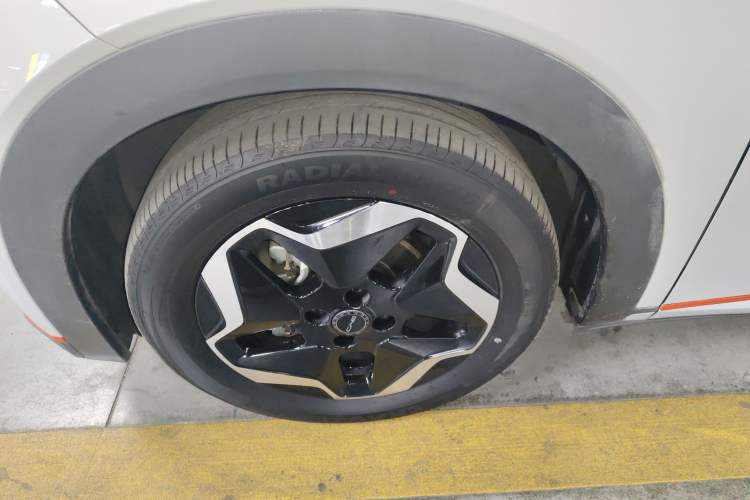 Used BYD Dolphin 2021 405 km Free Version
