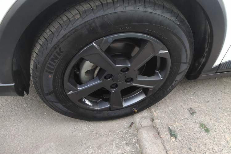 Used Geometry E Firefly 2023 401KM Linglong Tiger 5-Seater