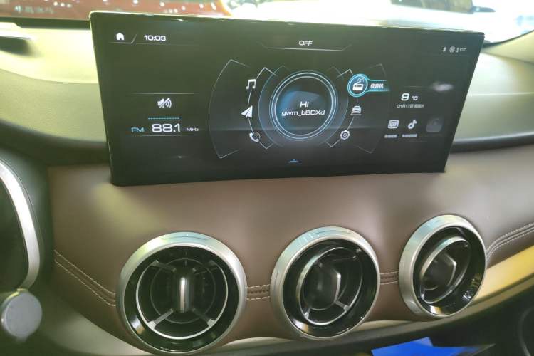 Used Wey VV6 2021 2.0T Two-Wheel Drive Smart Protection+
