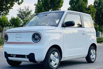 Used Geely Galaxy Panda 2024 Panda Mini 200km Endurance Bear
