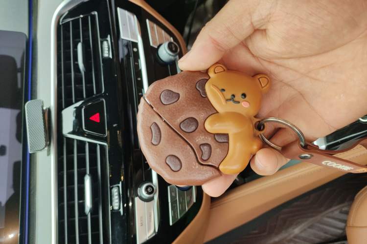 Used BMW 5 Series 2019 530Li Leading Model M Sport Package
