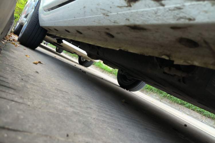 Used  Panda 2023 Panda Mini 200km Endurance Bear
