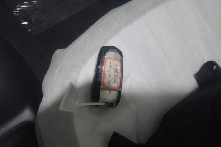 Used  Panda 2025 210km Panda Rider
