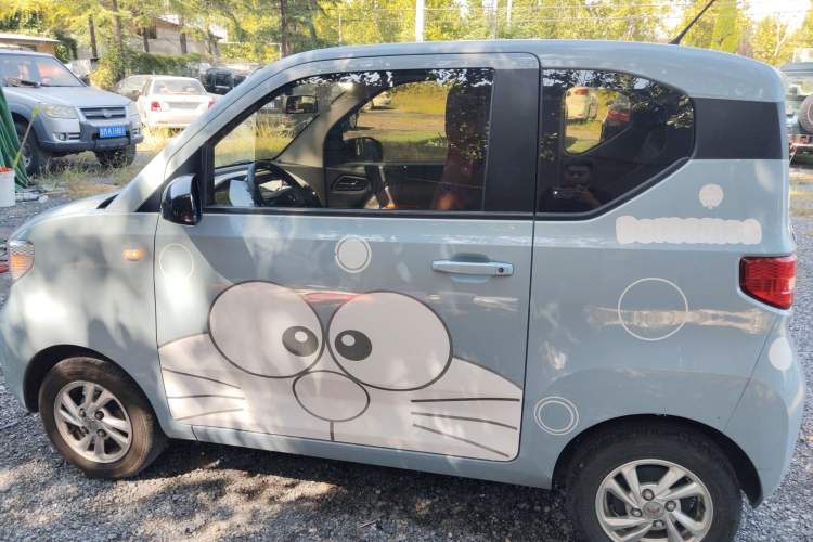 Used Wuling Hongguang MINIEV 2020 Enjoyment Model Lithium Iron Phosphate
