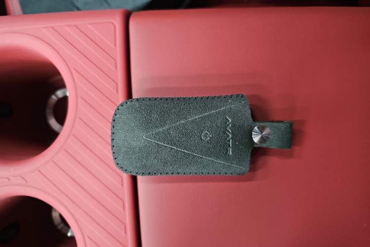 Used  06 2025 Ultra Pure Electric Edition
