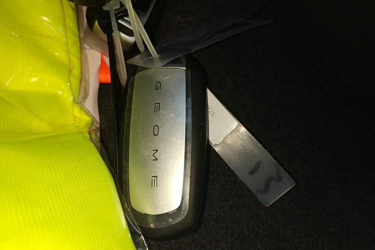 Used  Panda 2025 210 km – Yuanqi Bear
